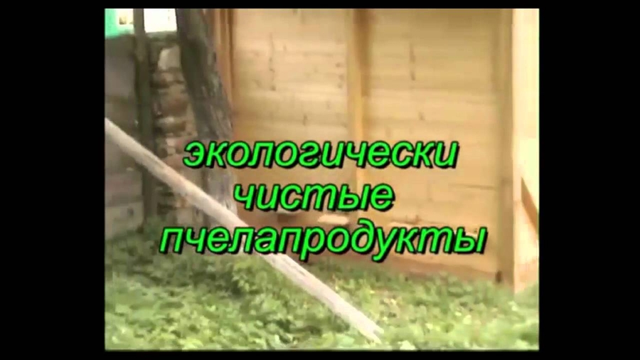чертеж домика для лечения пчелами